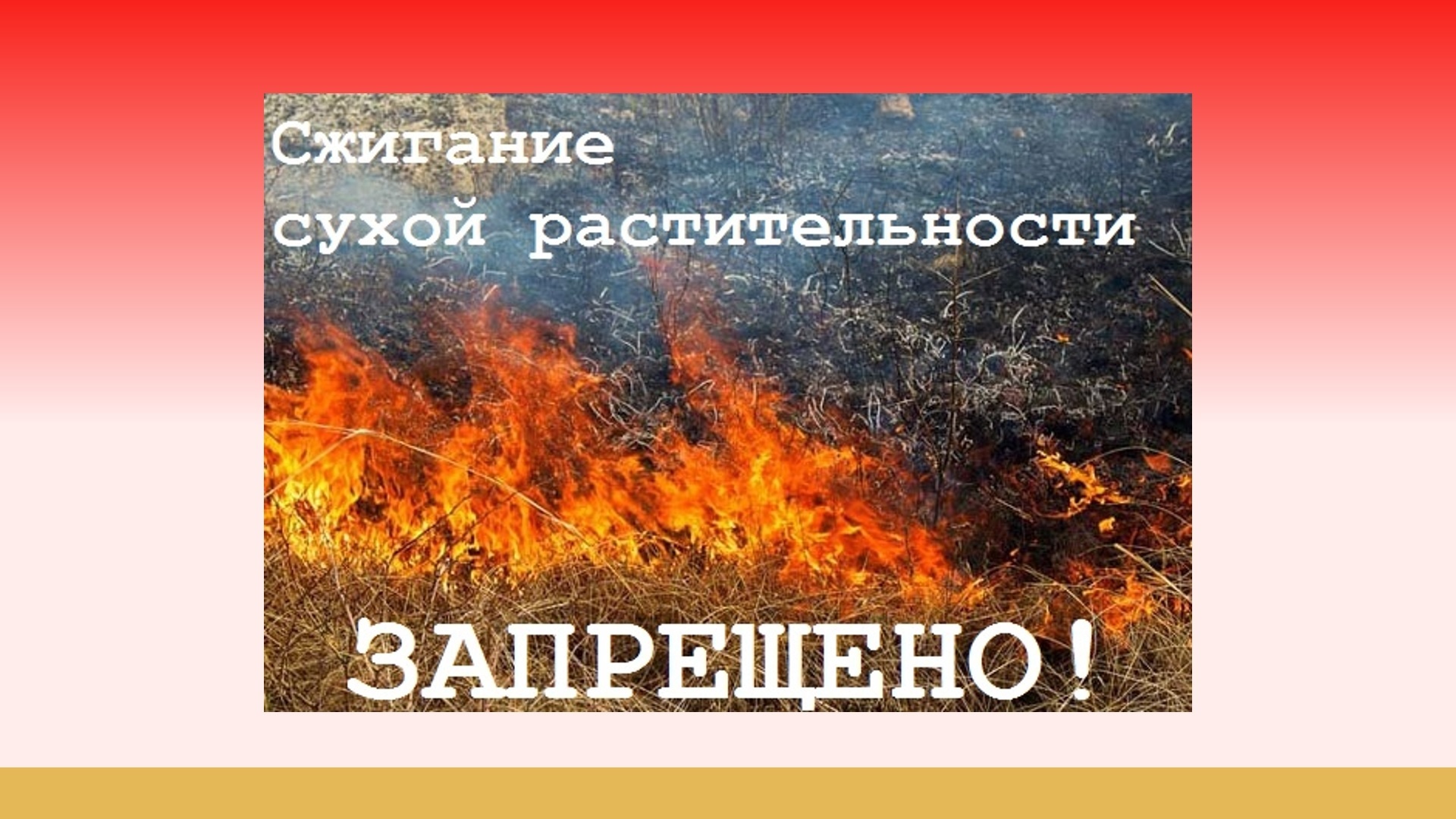 Установлено обязательное требование о создании противопожарной минерализованной полосы или проведении очистки от сухой древесно - кустарниковой растительности на земельных участках, граничащих с землями государственного лесного фонда..