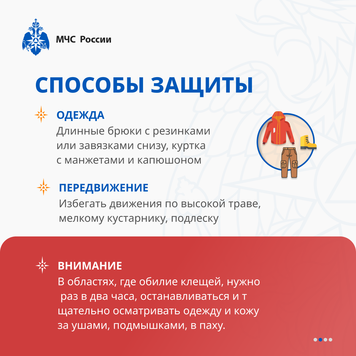 С наступлением весны просыпаются клещи.
