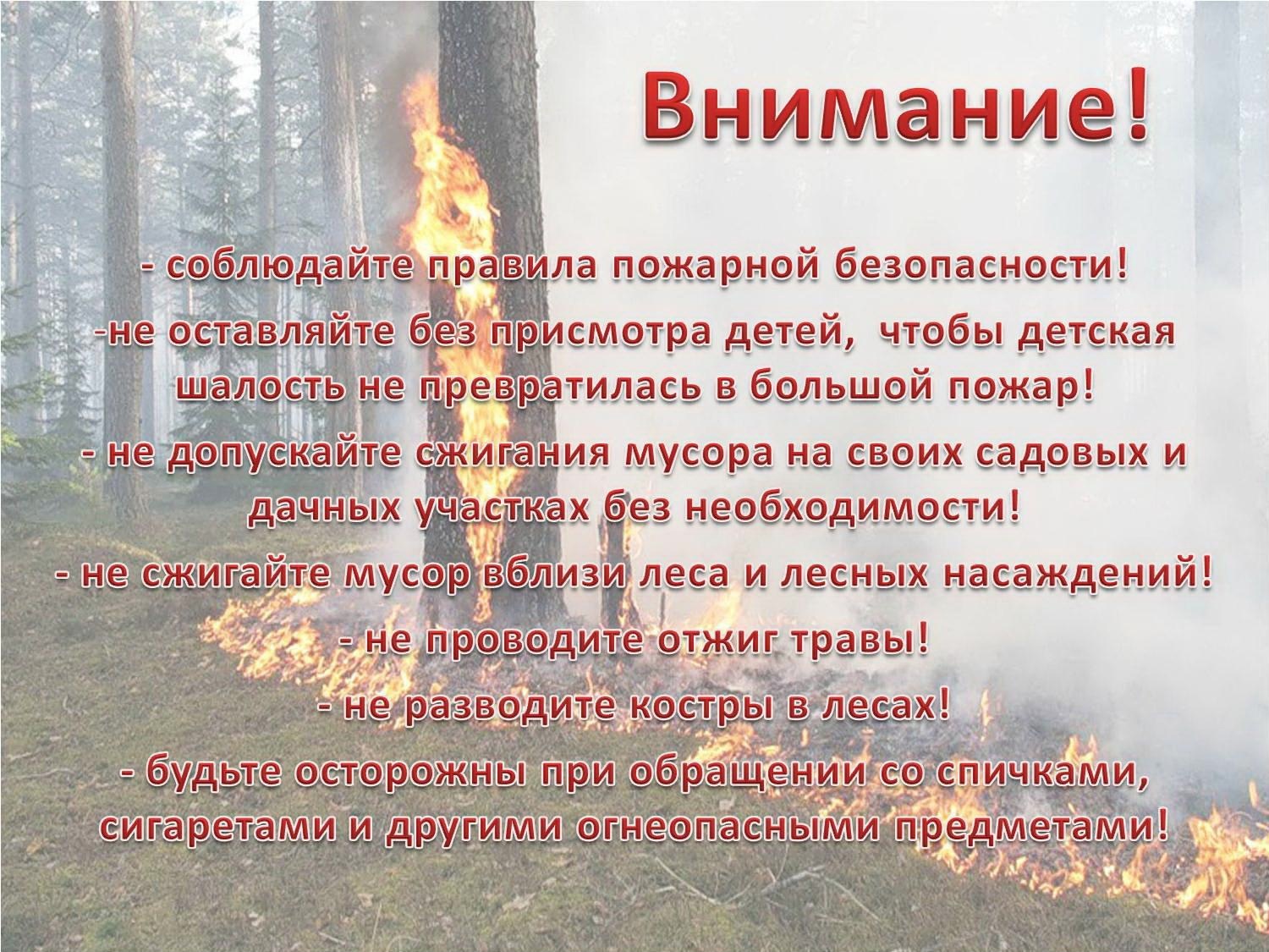Пожарная безопасность в лесу.