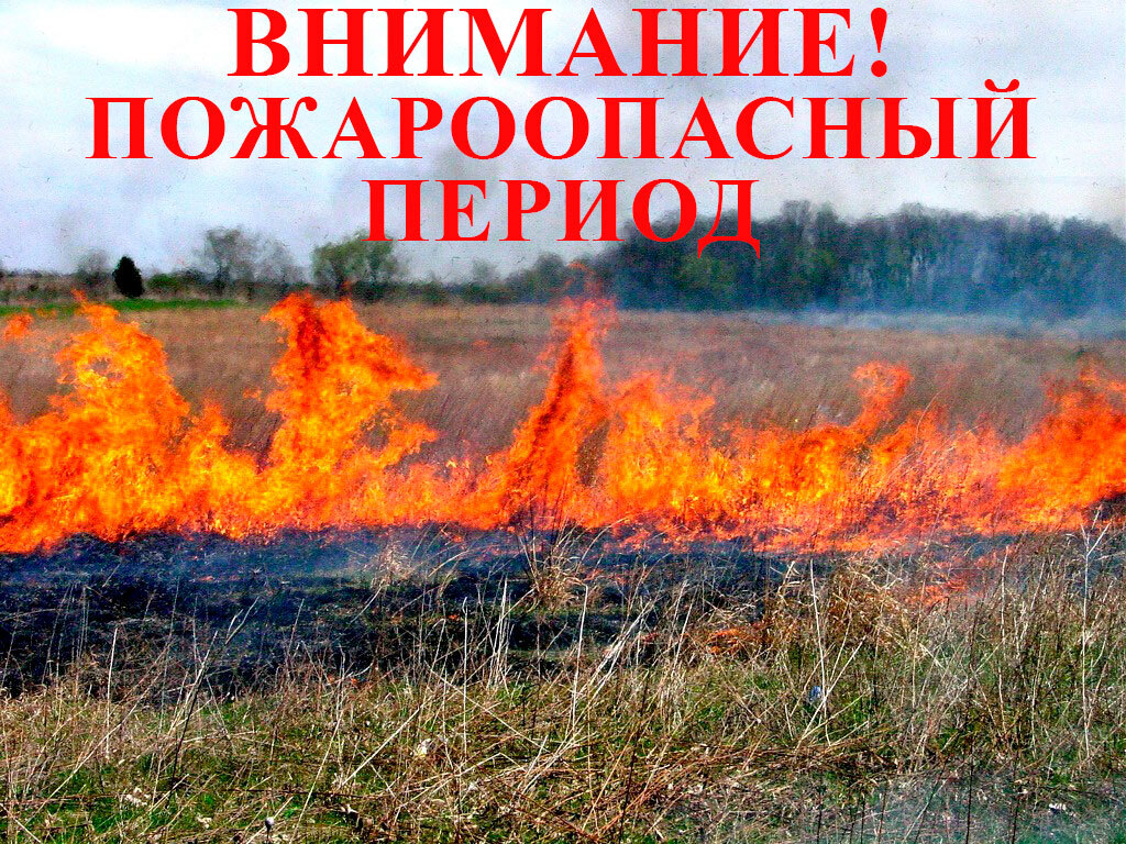 Напоминаем: в Красноярском крае действует особый противопожарный режим.