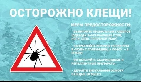 Профилактика клещевого энцефалита.