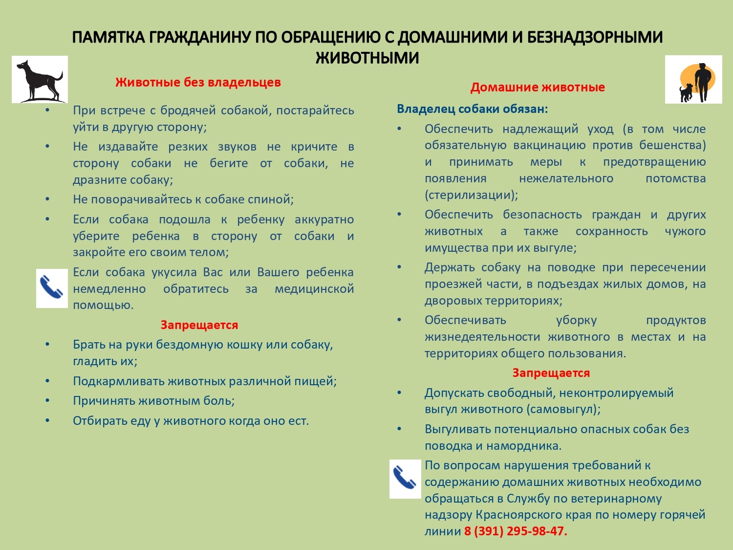 Памятка по обращению с безнадзорными животными.