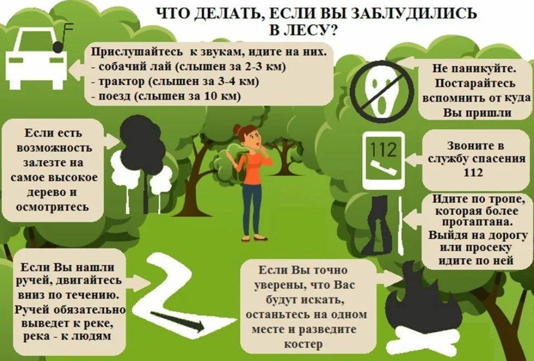 Что делать, если вы заблудились в лесу.