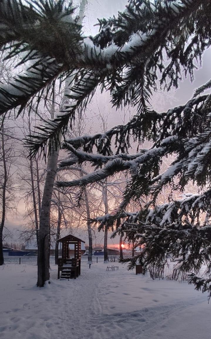 День зимнего солнцестояния..