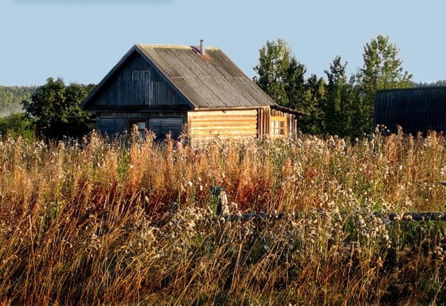 Нескошенная трава - причина пожара.