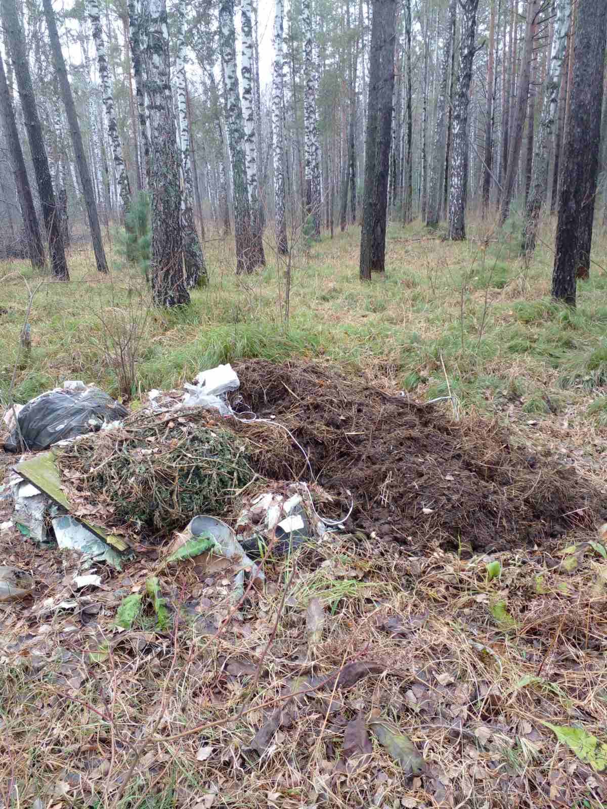 Валят, где хотят.