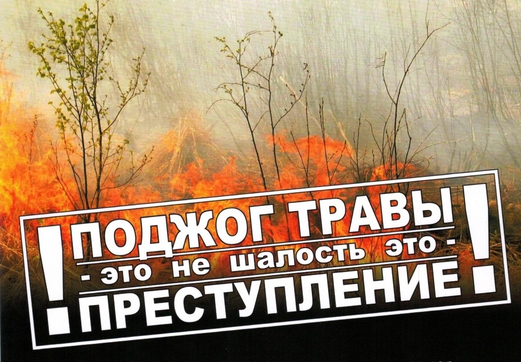 Не жги траву!.