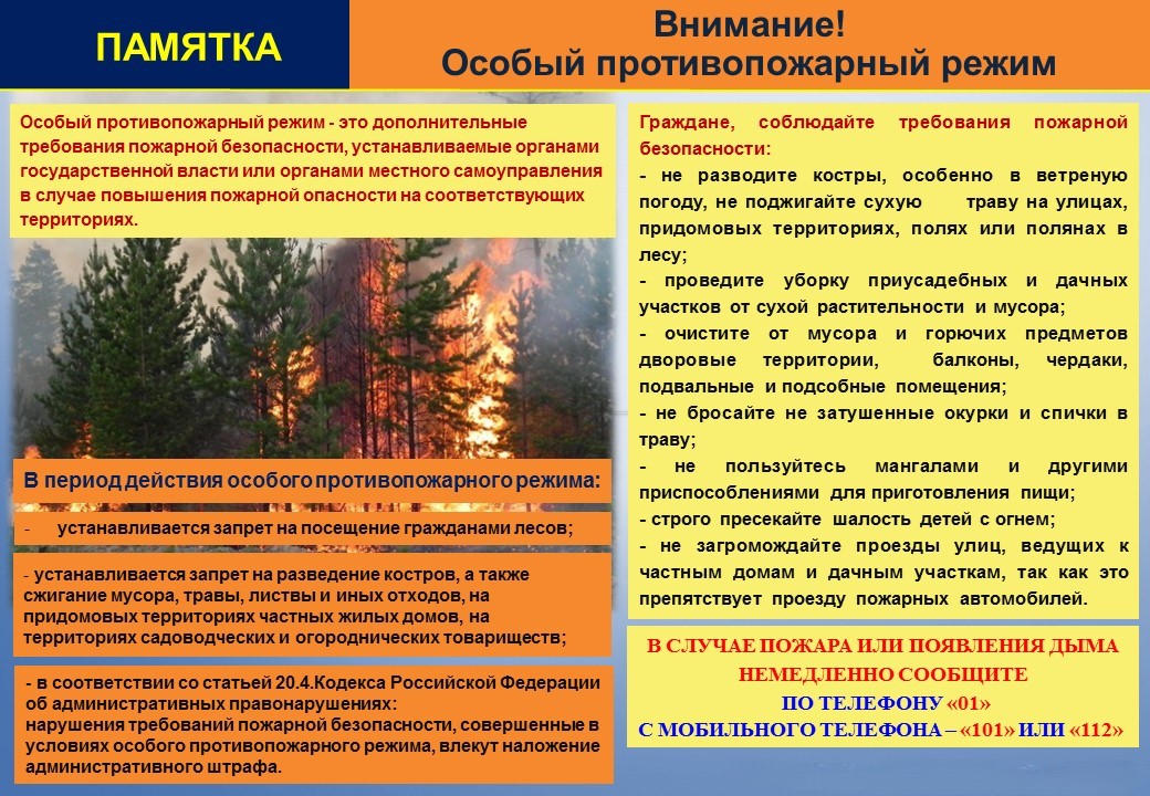 Меры предосторожности в особый противопожарный режим.