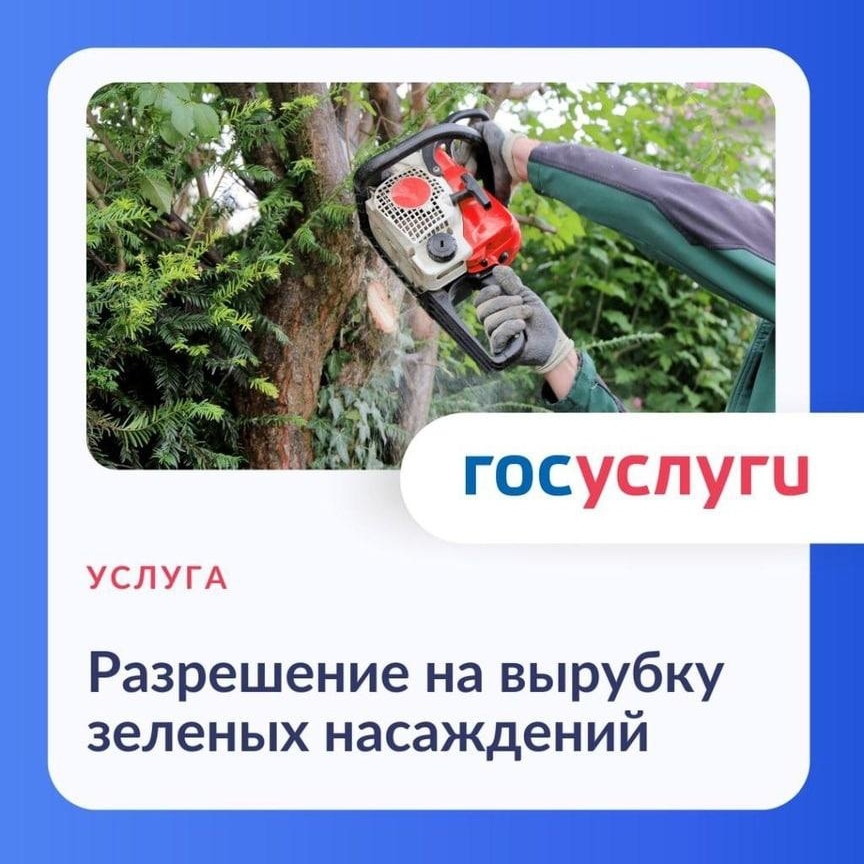 Разрешение на вырубку зеленых насаждений получают через Госуслуги.