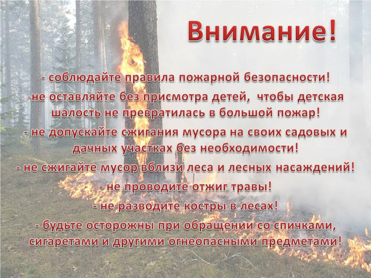 Пожарная безопасность в лесу. Пожарная безопасность в лесу.