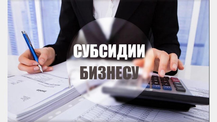 Субсидии предпринимателям. Субсидии предпринимателям.
