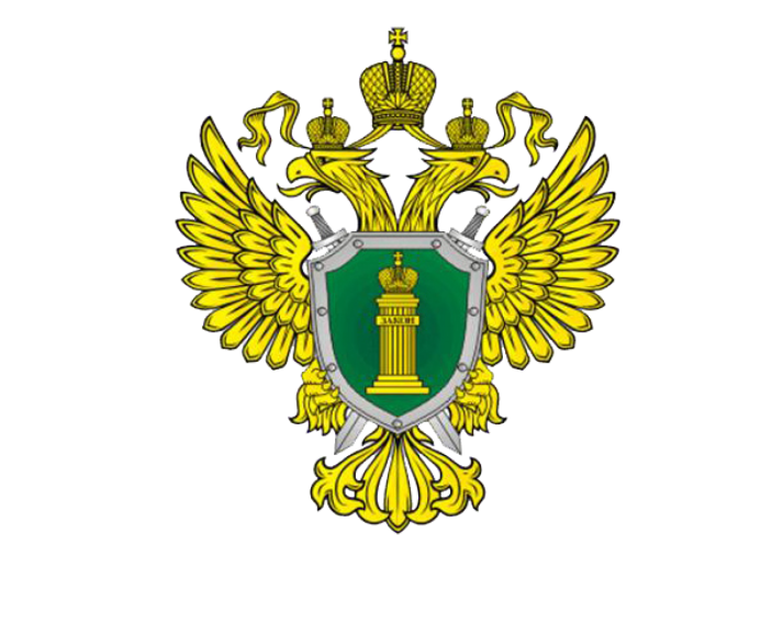 Уголовная ответственность за мошенничество. Уголовная ответственность за мошенничество.