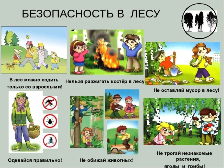 Что нужно перед походом в лес. Что нужно перед походом в лес.