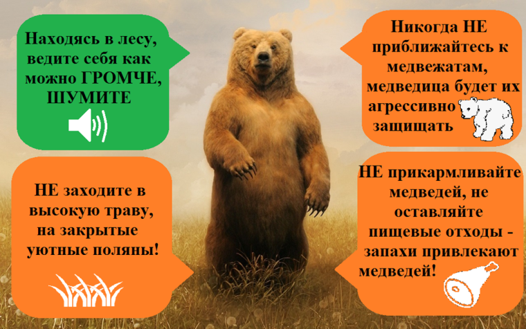 Вблизи населенных пунктов района были замечены медведи. Вблизи населенных пунктов района были замечены медведи.