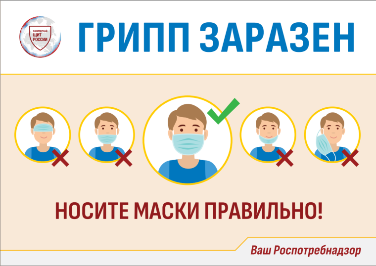 Все о профилактике гриппа. Все о профилактике гриппа.