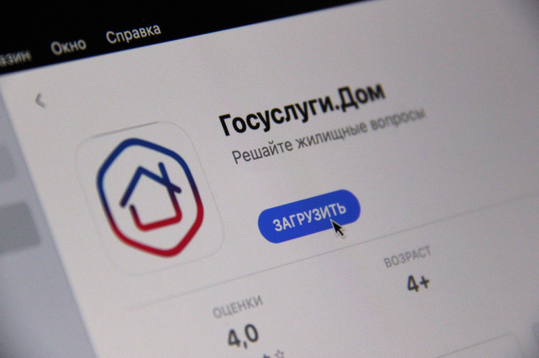 Коллективная заявка:. Коллективная заявка:.