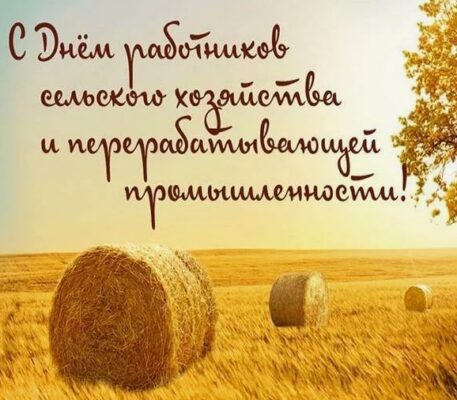 С Днем работников сельского хозяйства!. С Днем работников сельского хозяйства!.