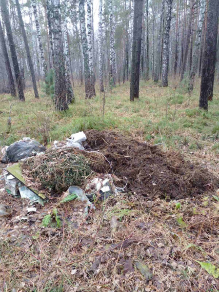 Валят, где хотят. Валят, где хотят.